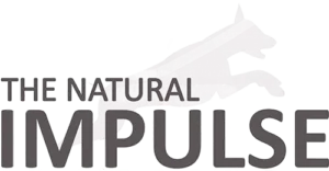 Natural Impulse Logo