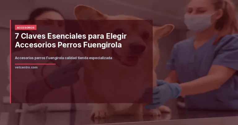 Accesorios perros Fuengirola calidad tienda especializada