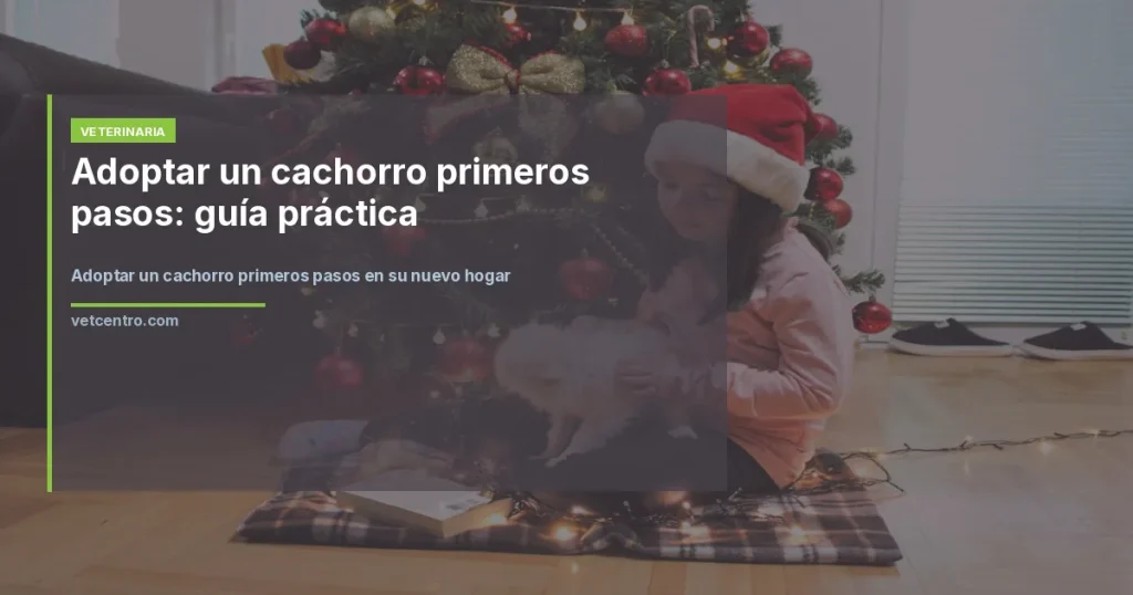 Adoptar un cachorro primeros pasos en su nuevo hogar