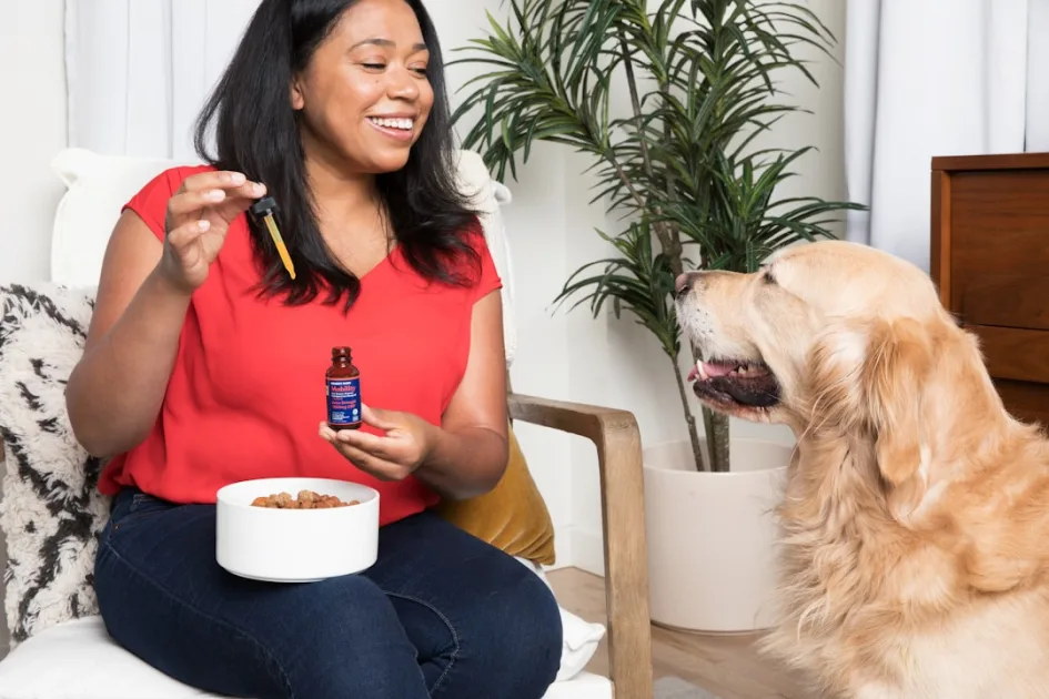 Asesoramiento nutricional veterinario para perros en consulta