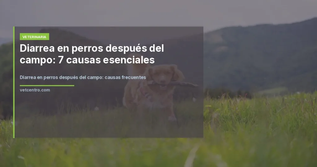 Diarrea en perros después del campo: causas frecuentes