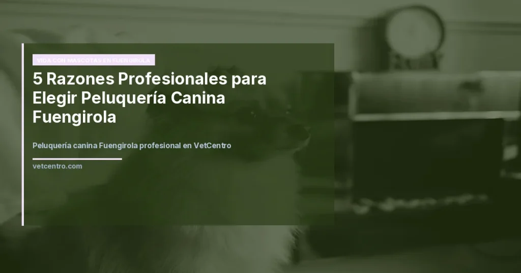 Peluquería canina Fuengirola profesional en VetCentro