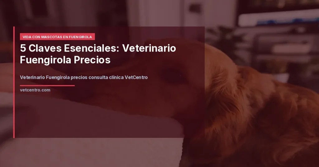 Veterinario Fuengirola precios consulta clínica VetCentro