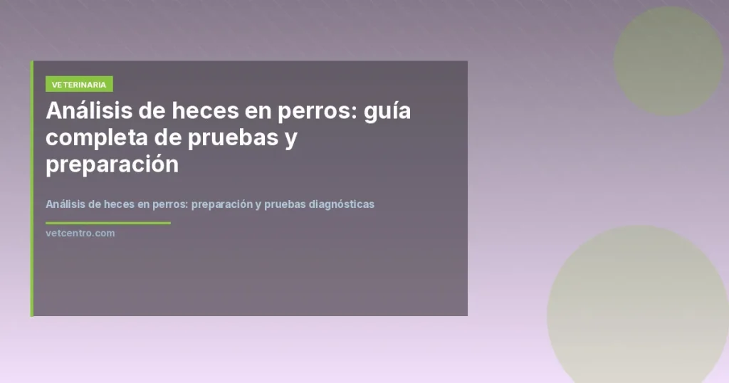 Análisis de heces en perros: preparación y pruebas diagnósticas