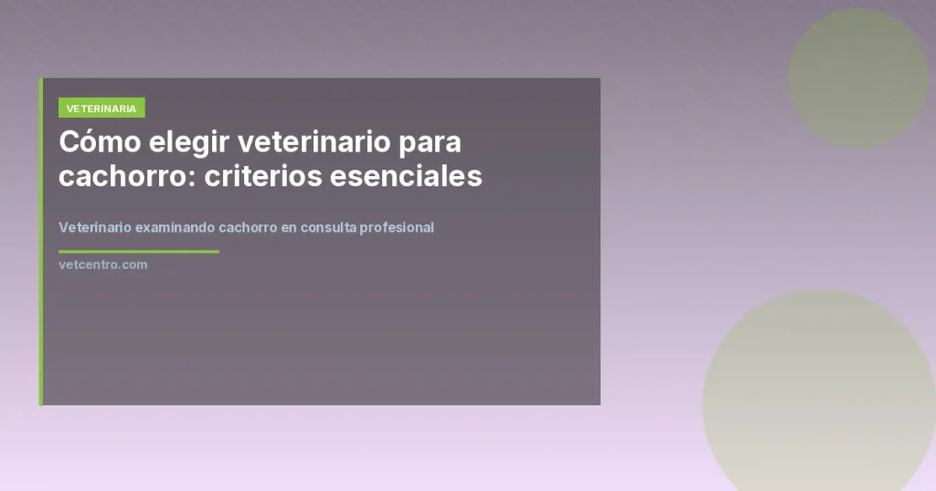 Veterinario examinando cachorro en consulta profesional