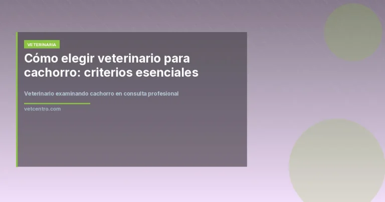 Veterinario examinando cachorro en consulta profesional