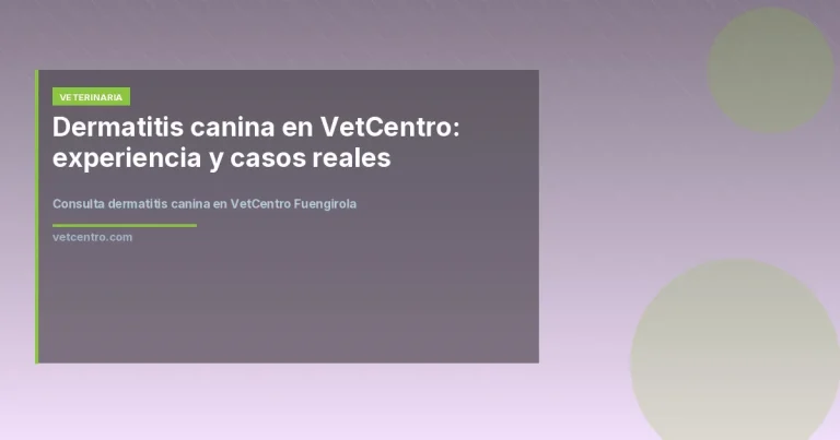 Consulta dermatitis canina en VetCentro Fuengirola